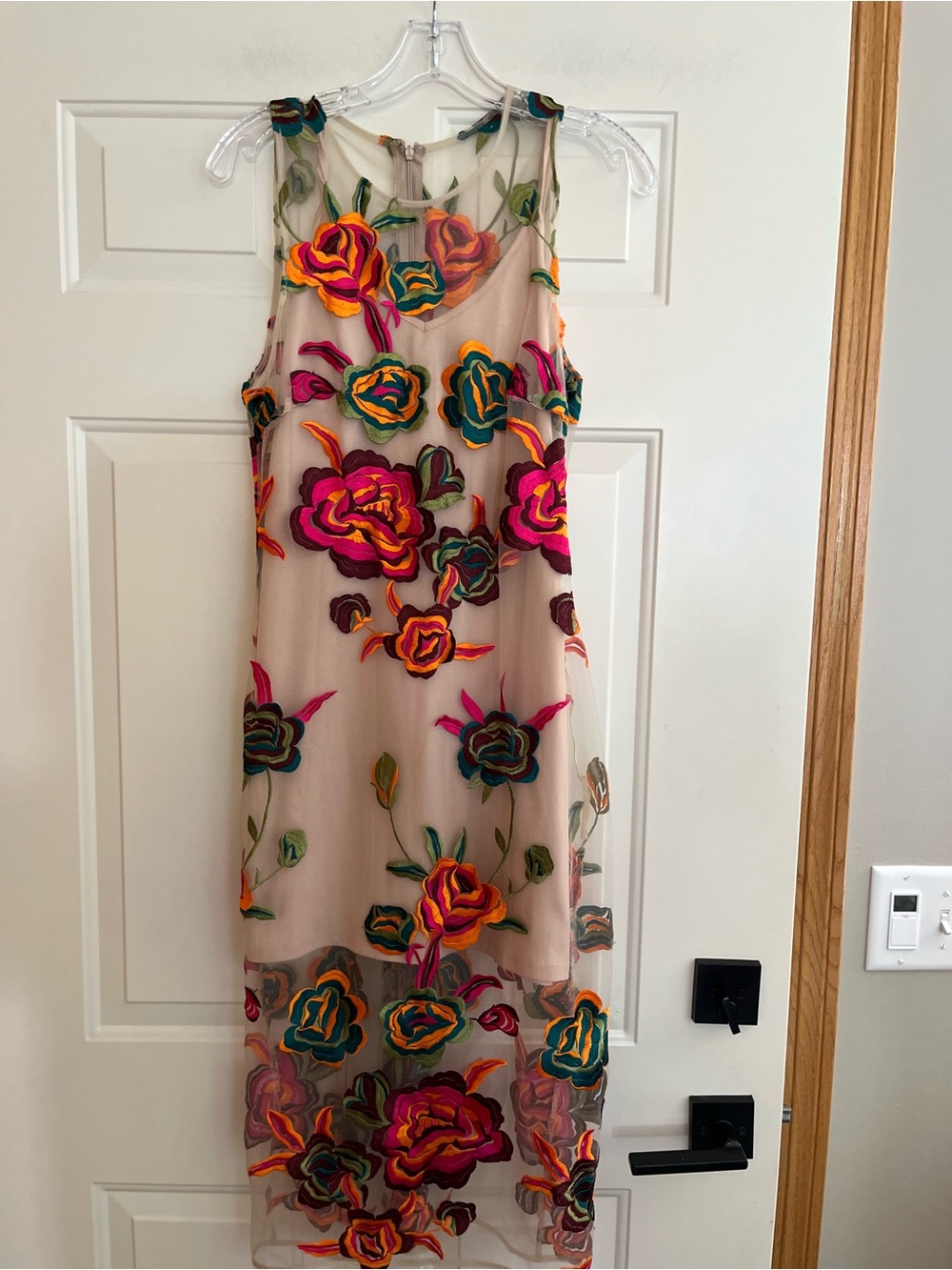 Women’s Alexia Admor sheer nude mesh floral embroidered sleeveless dress. Small - Picture 5 of 16